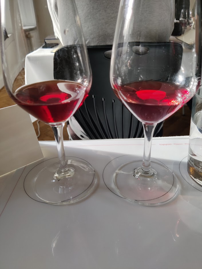 Sådan smager du professionelt på vin, trin for trin